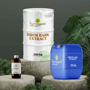 Birch Bark Extract