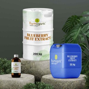 Blueberry Fruit Extract