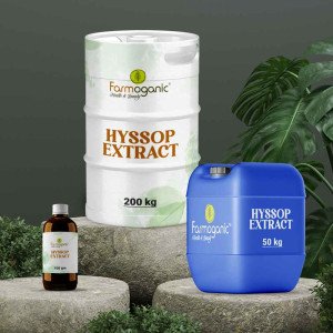 Hyssop Extract