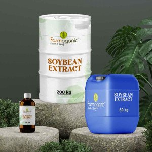 Soybean Extract