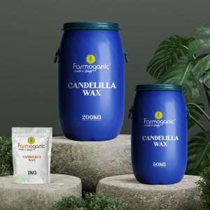 Candelilla Wax